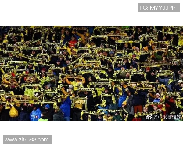 多特蒙德球迷骚乱引发欧冠禁赛三场及50万欧元罚款